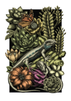 Fragmento de las islas