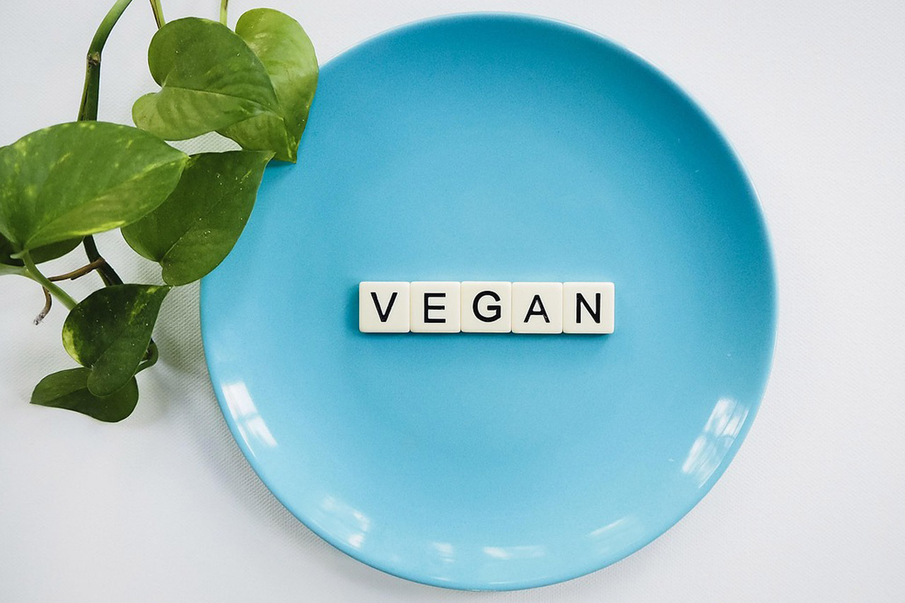taller veganismoc con consciencia
