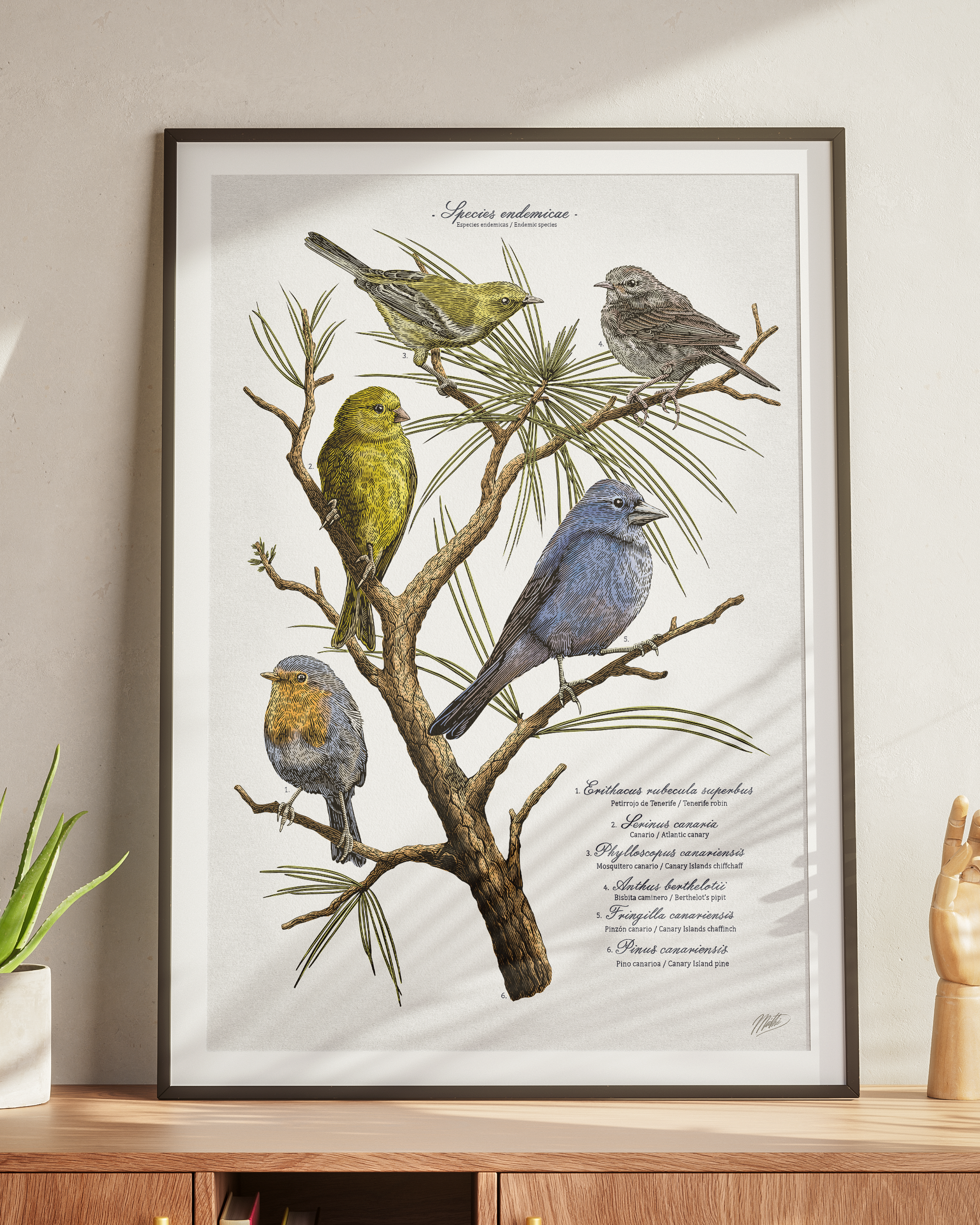 Specie endemicae - Imagen 3